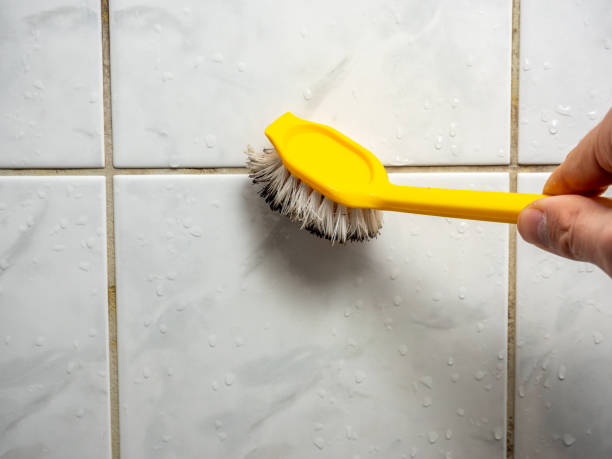 Reliable Mason, TN Mold Remediation Solutions