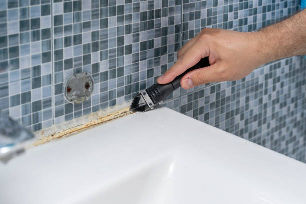 Best Basement Mold Remediation in Mason, TN